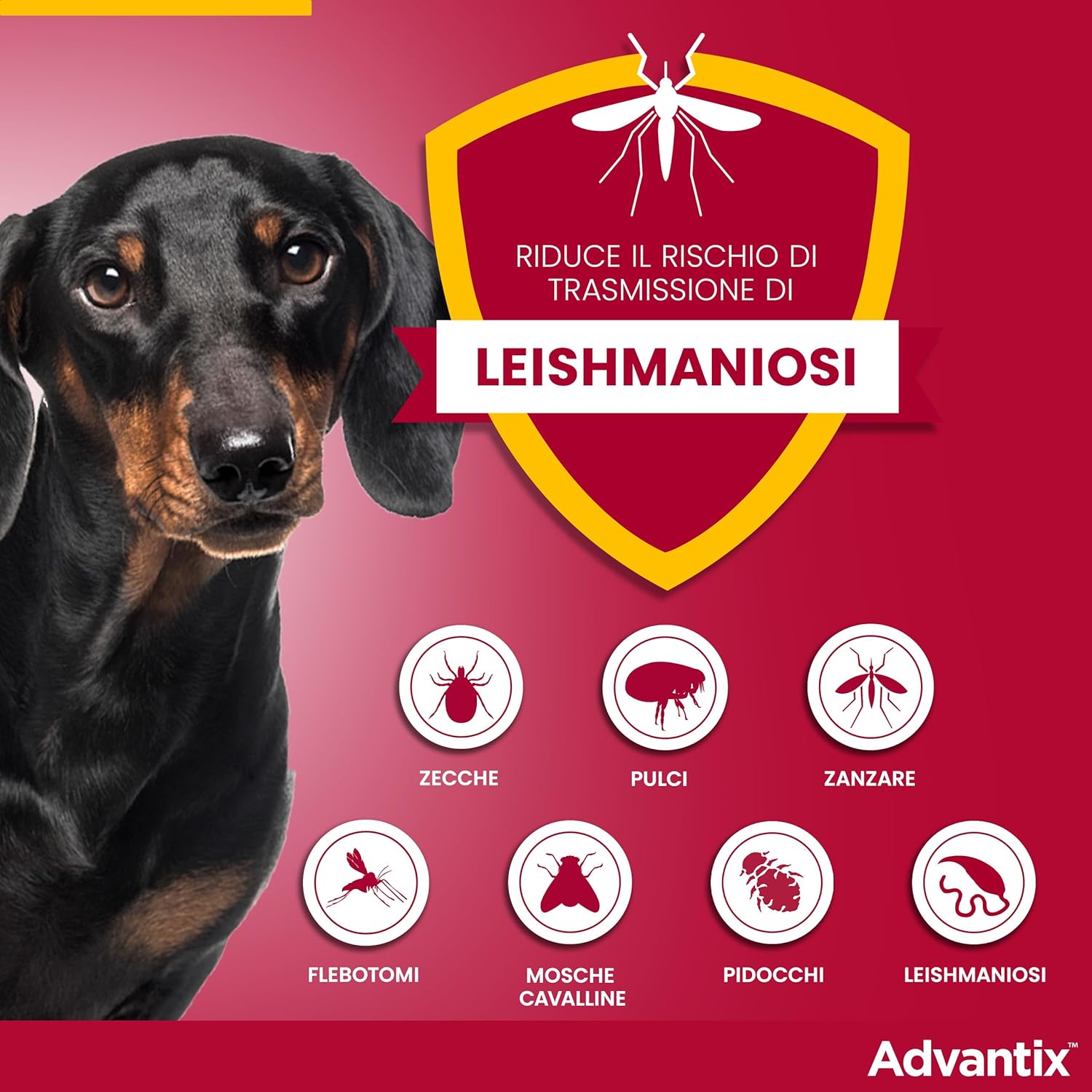 Antiparassitario Advantix Spot-on per cani 10-25 kg