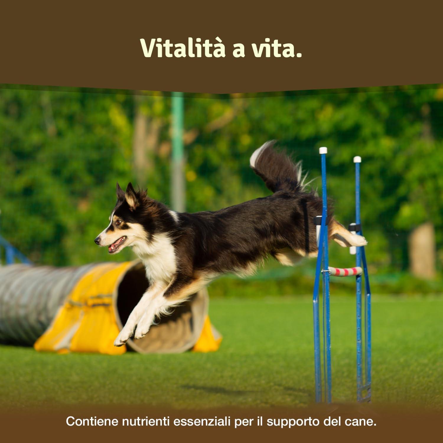 Integratore per articolazioni dei cani Veddelholzer