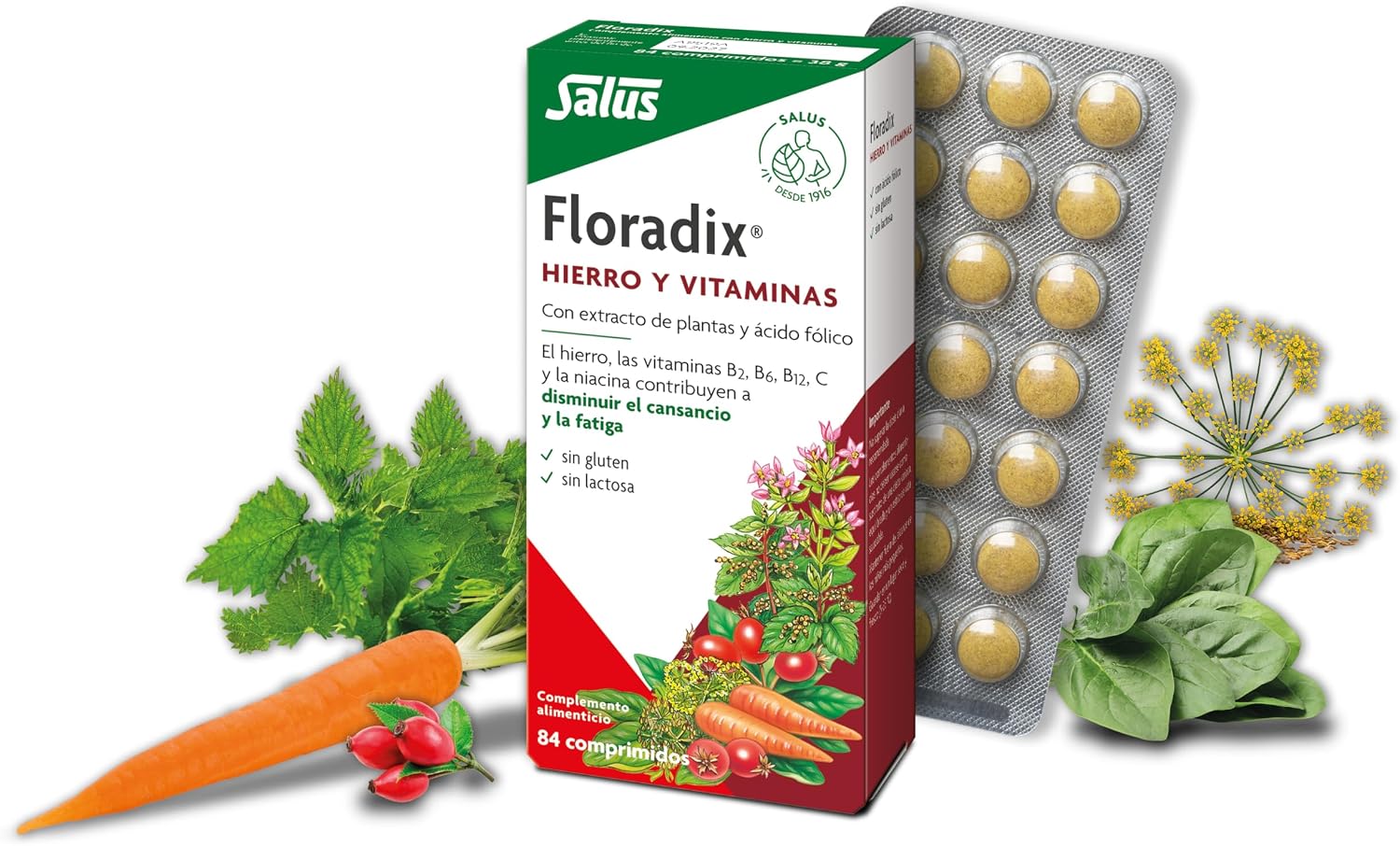 Floradix 84 Comp Con Ferro e Vitamine