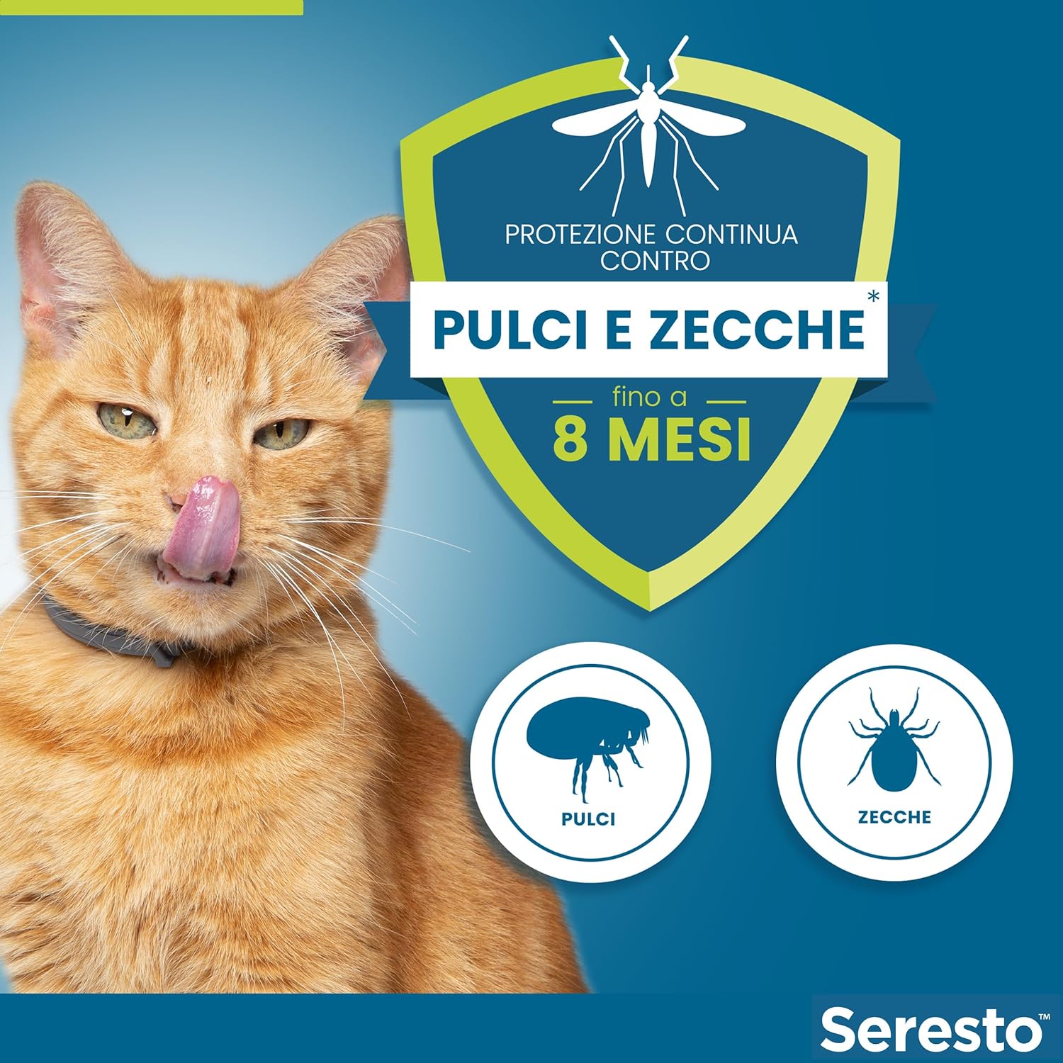 Collare antiparassitario Seresto per gatti